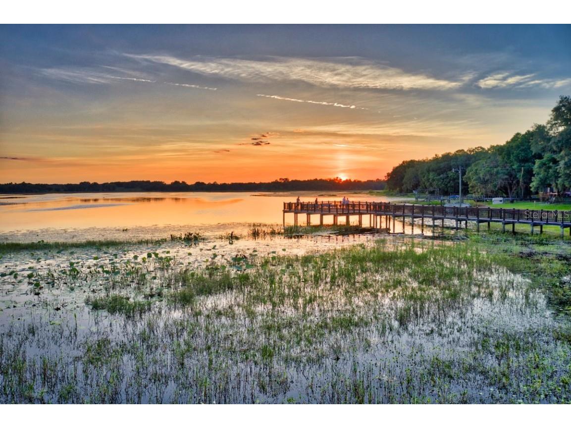 3828 SW Shorewood Drive Dunnellon FL 34431 OM709604 image46