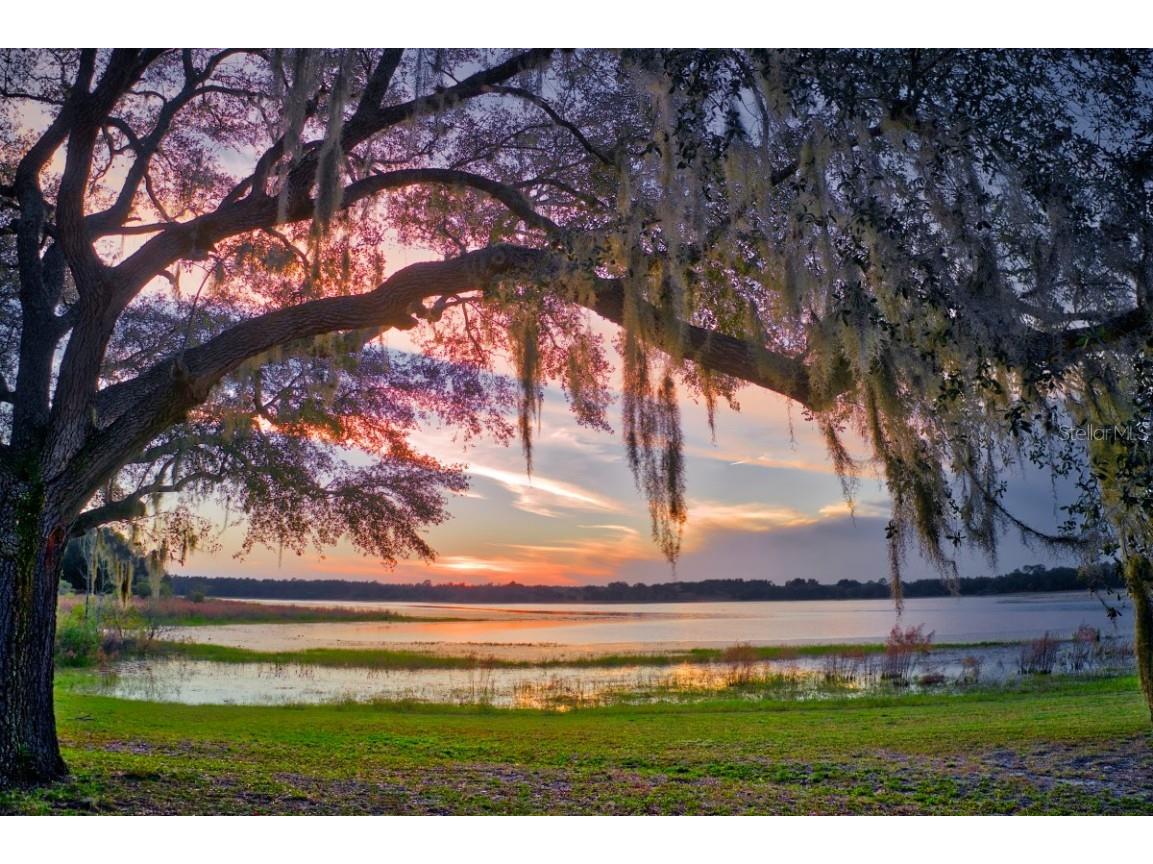 3828 SW Shorewood Drive Dunnellon FL 34431 OM709604 image47