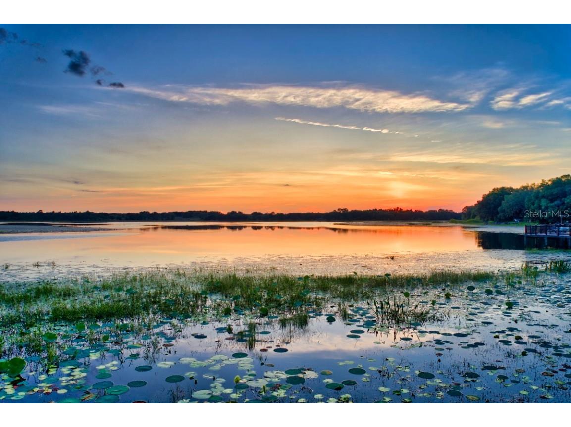 3828 SW Shorewood Drive Dunnellon FL 34431 OM709604 image48