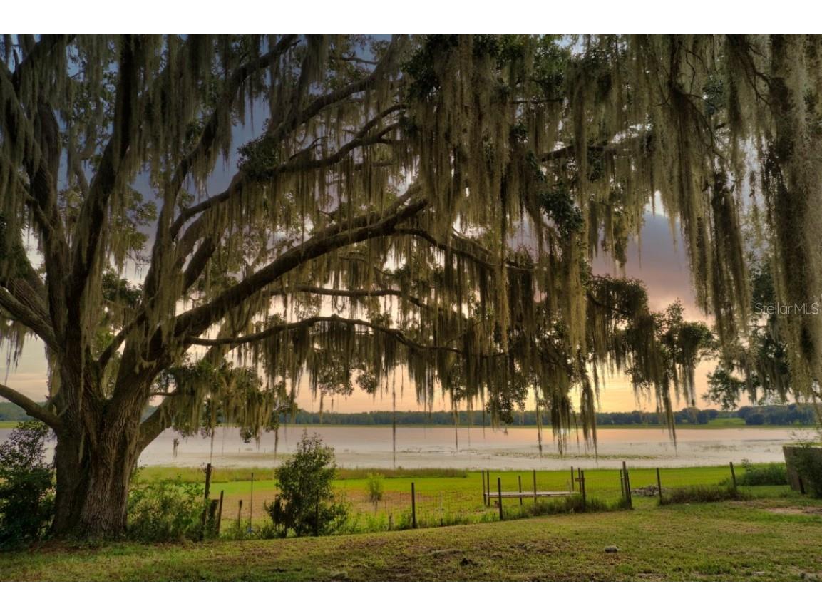 3828 SW Shorewood Drive Dunnellon FL 34431 OM709604 image7