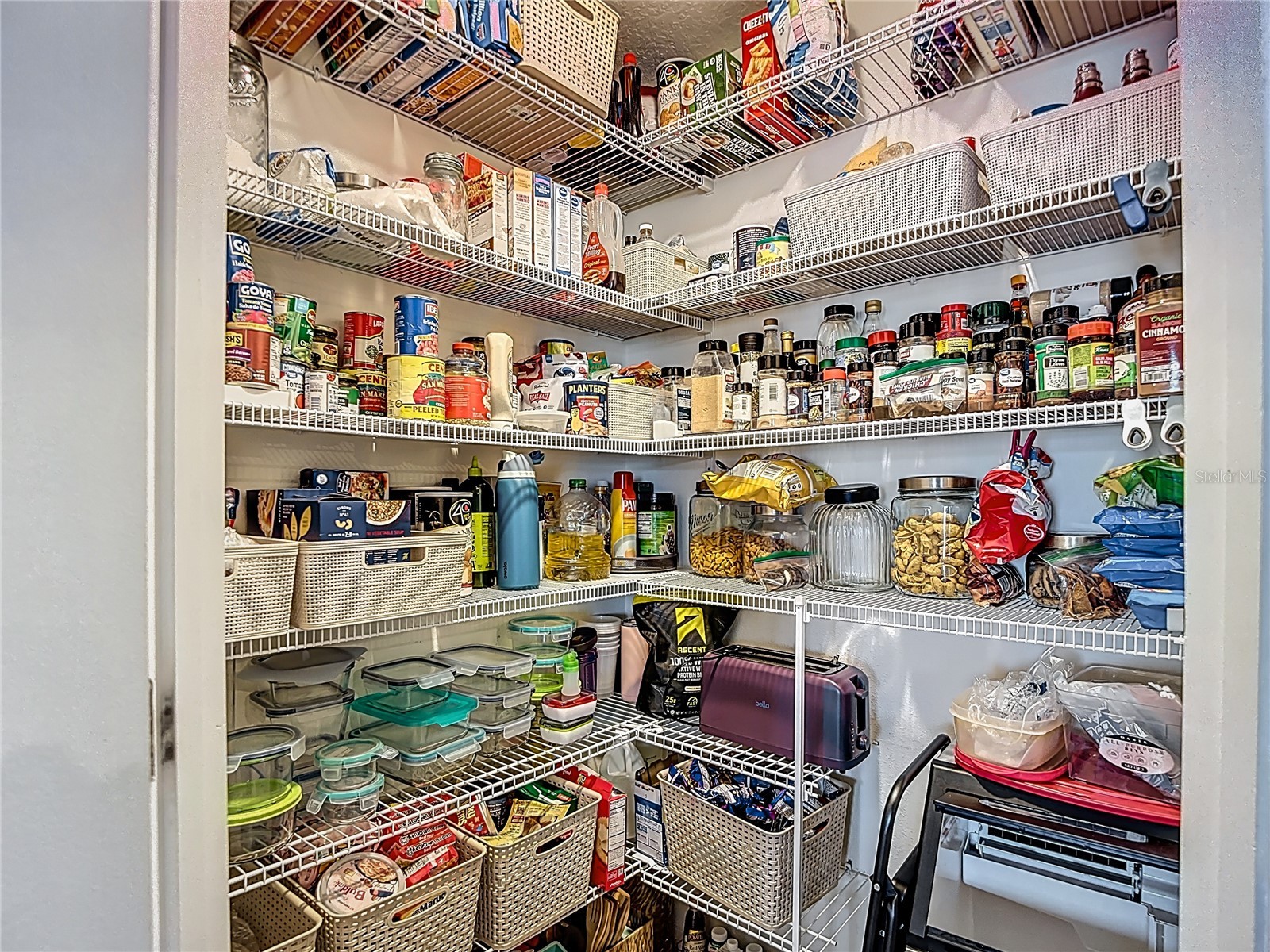 38287 Sonnet Landing Avenue Zephyrhills FL 33540 TB8488072 image19