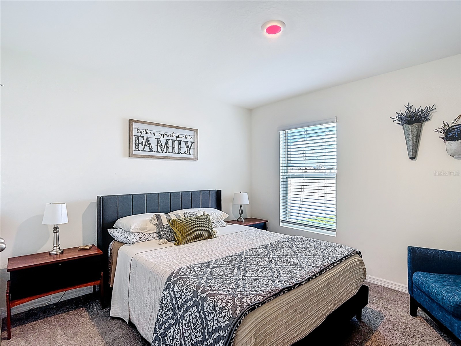 38287 Sonnet Landing Avenue Zephyrhills FL 33540 TB8488072 image29