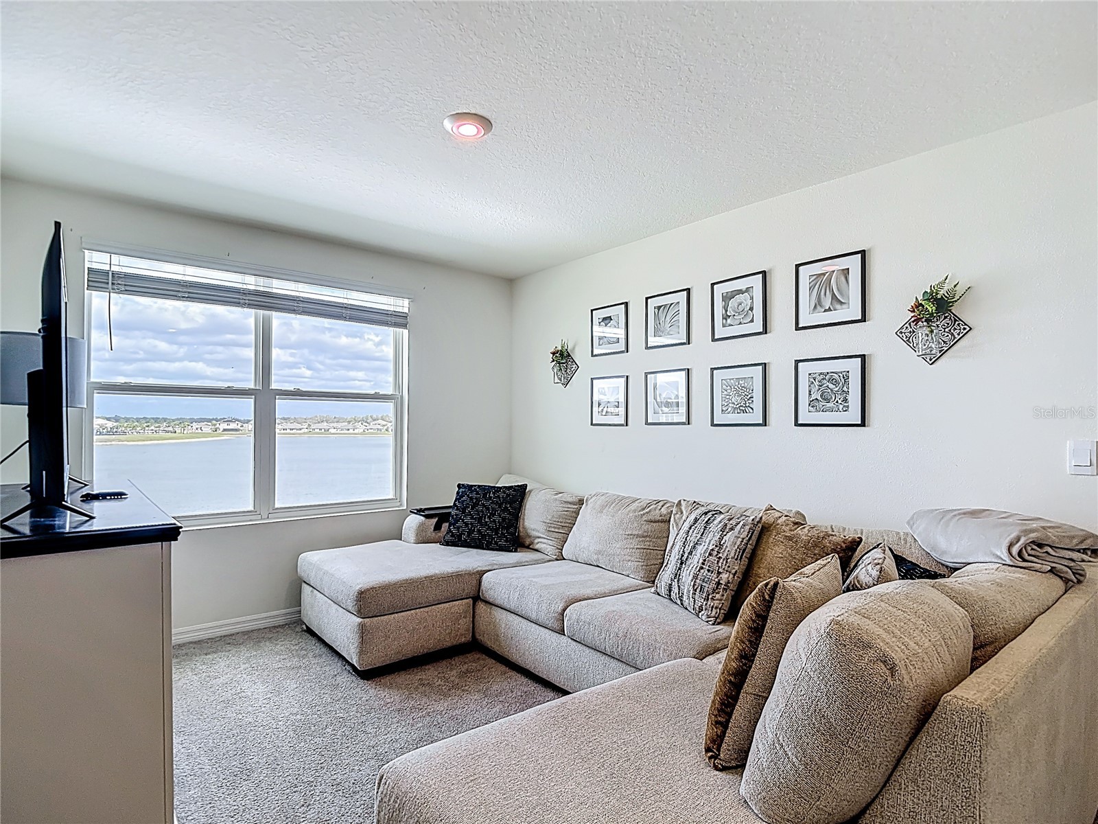 38287 Sonnet Landing Avenue Zephyrhills FL 33540 TB8488072 image39