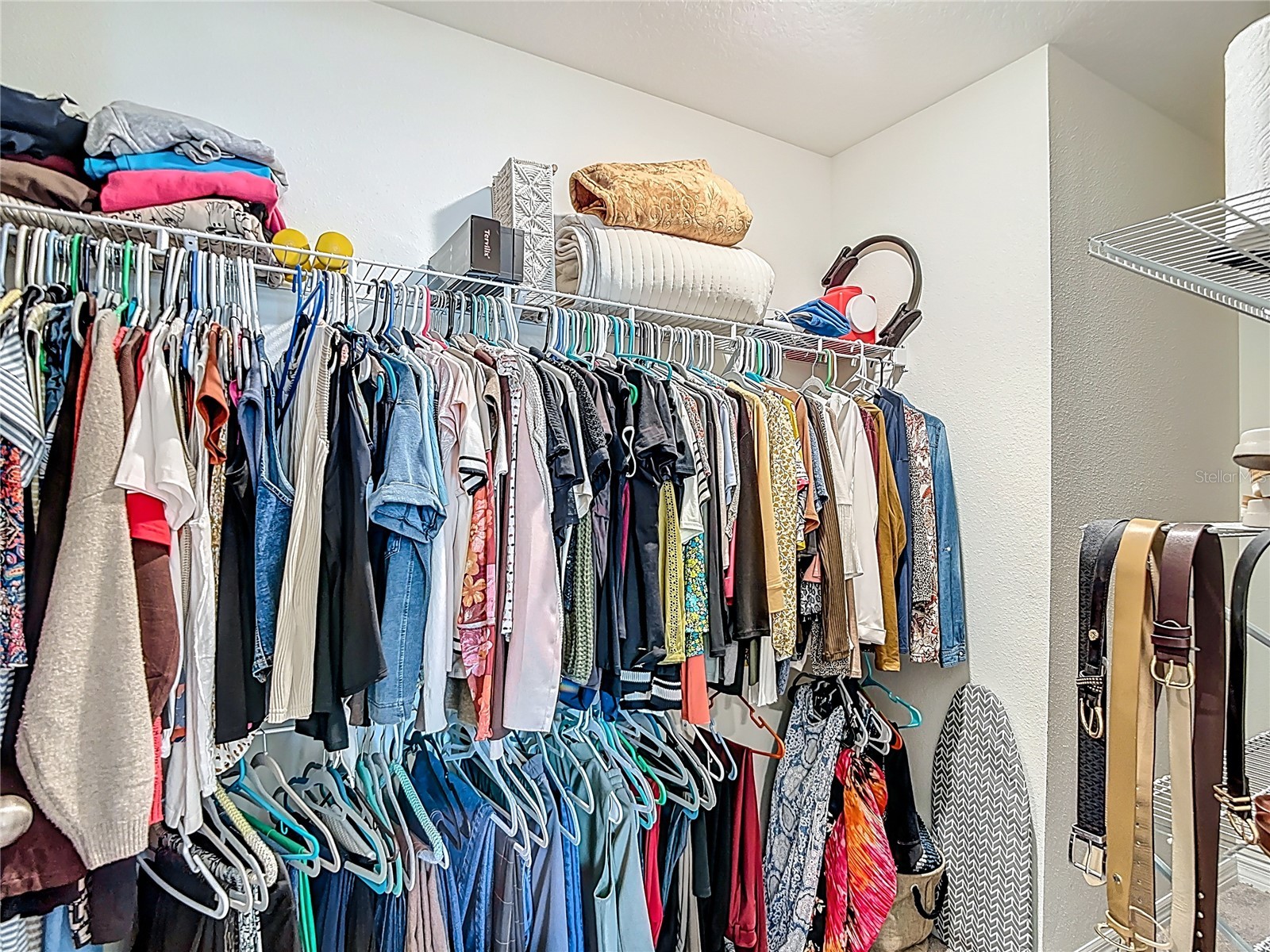 38287 Sonnet Landing Avenue Zephyrhills FL 33540 TB8488072 image50