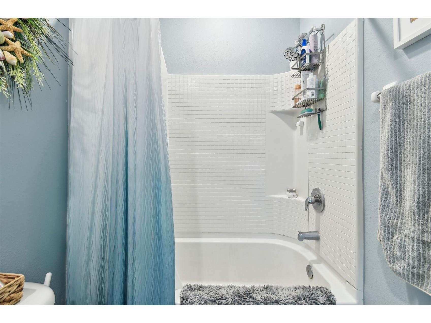 3829 Rippaso Place Brandon FL 33511 TB8469262 image20