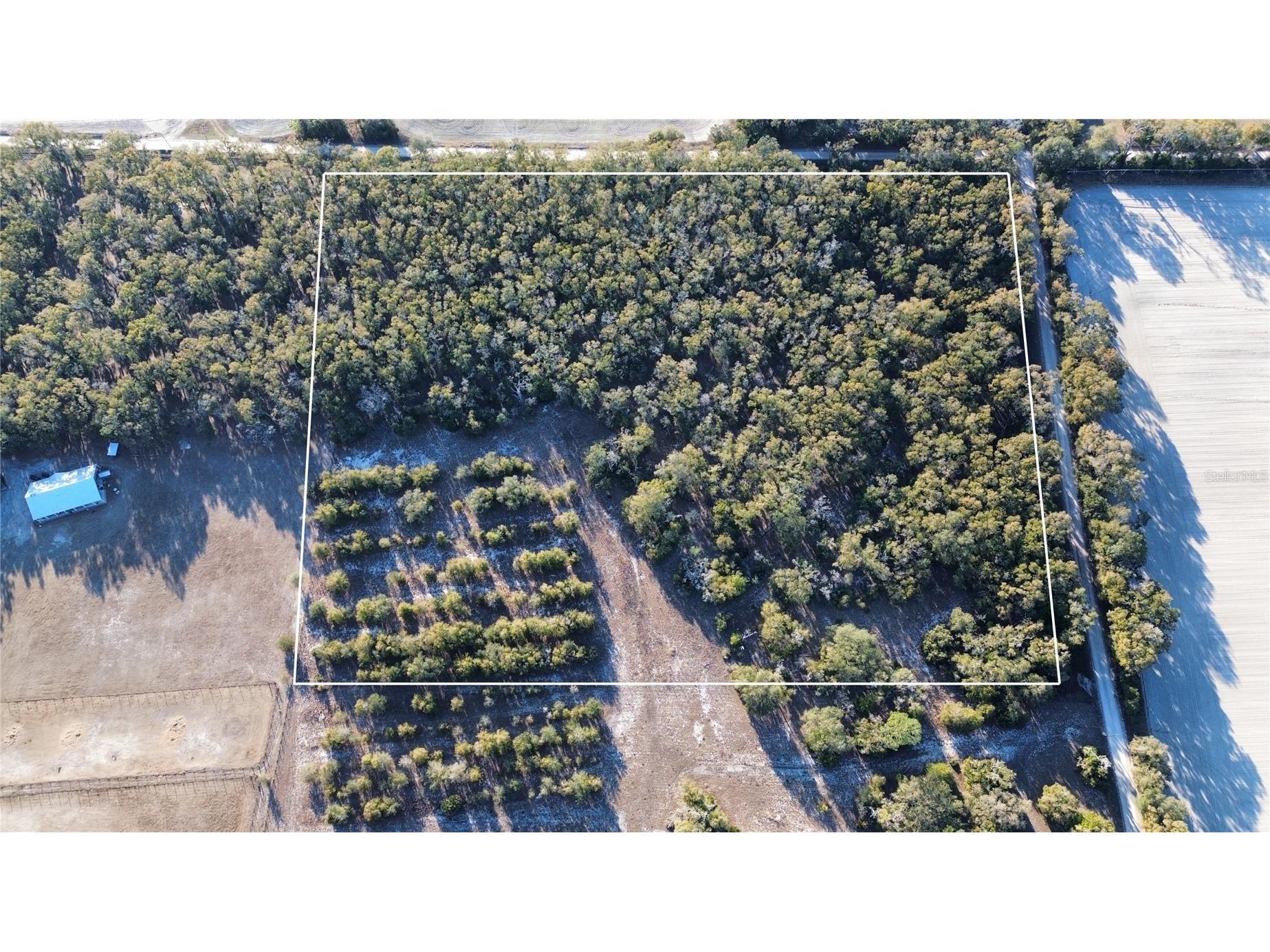 3829 Rodeo Road Bell FL 32619 GC537588 image3