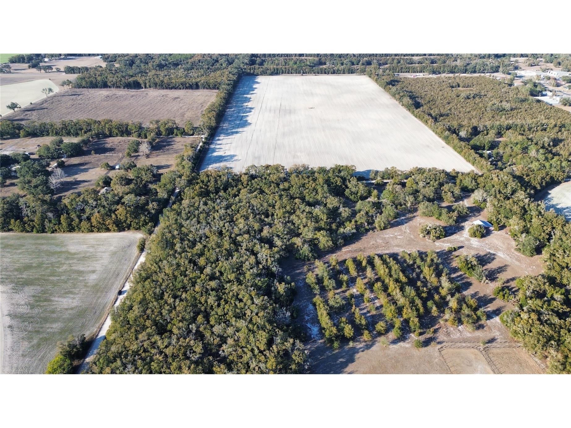 3829 Rodeo Road Bell FL 32619 GC537588 image4