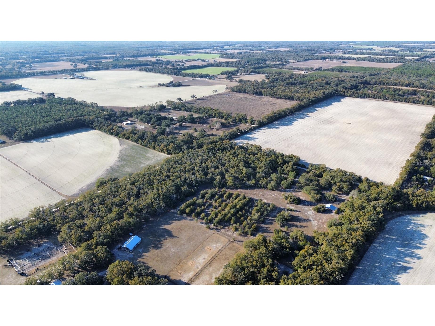 3829 Rodeo Road Bell FL 32619 GC537588 image5