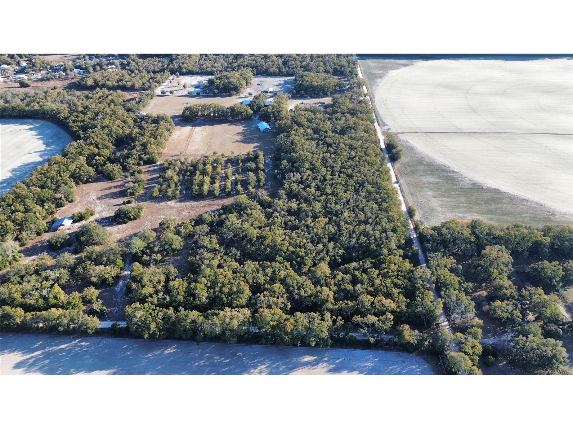 3829 Rodeo Road Bell FL 32619 GC537588 image7