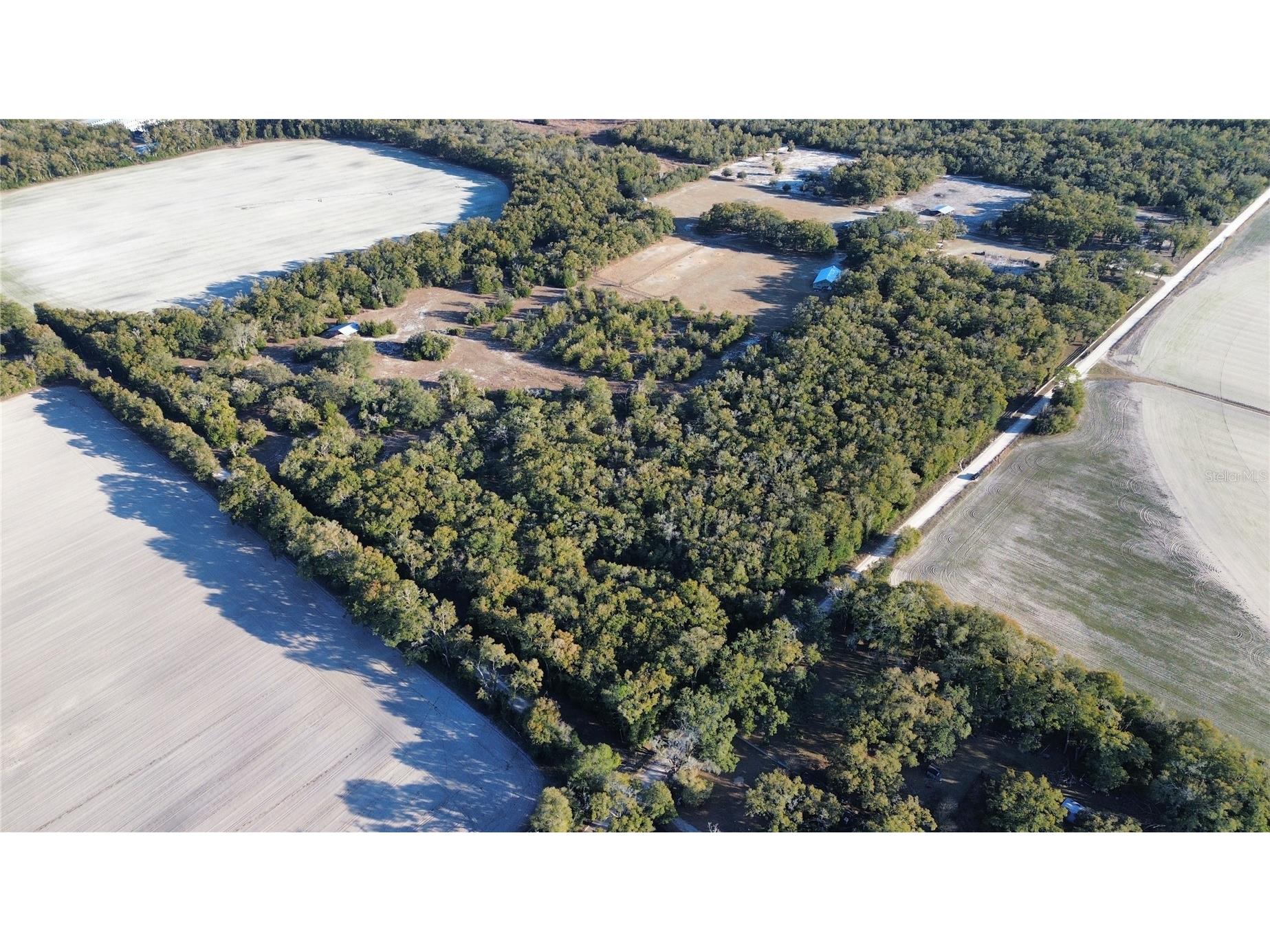 3829 Rodeo Road Bell FL 32619 GC537588 image8