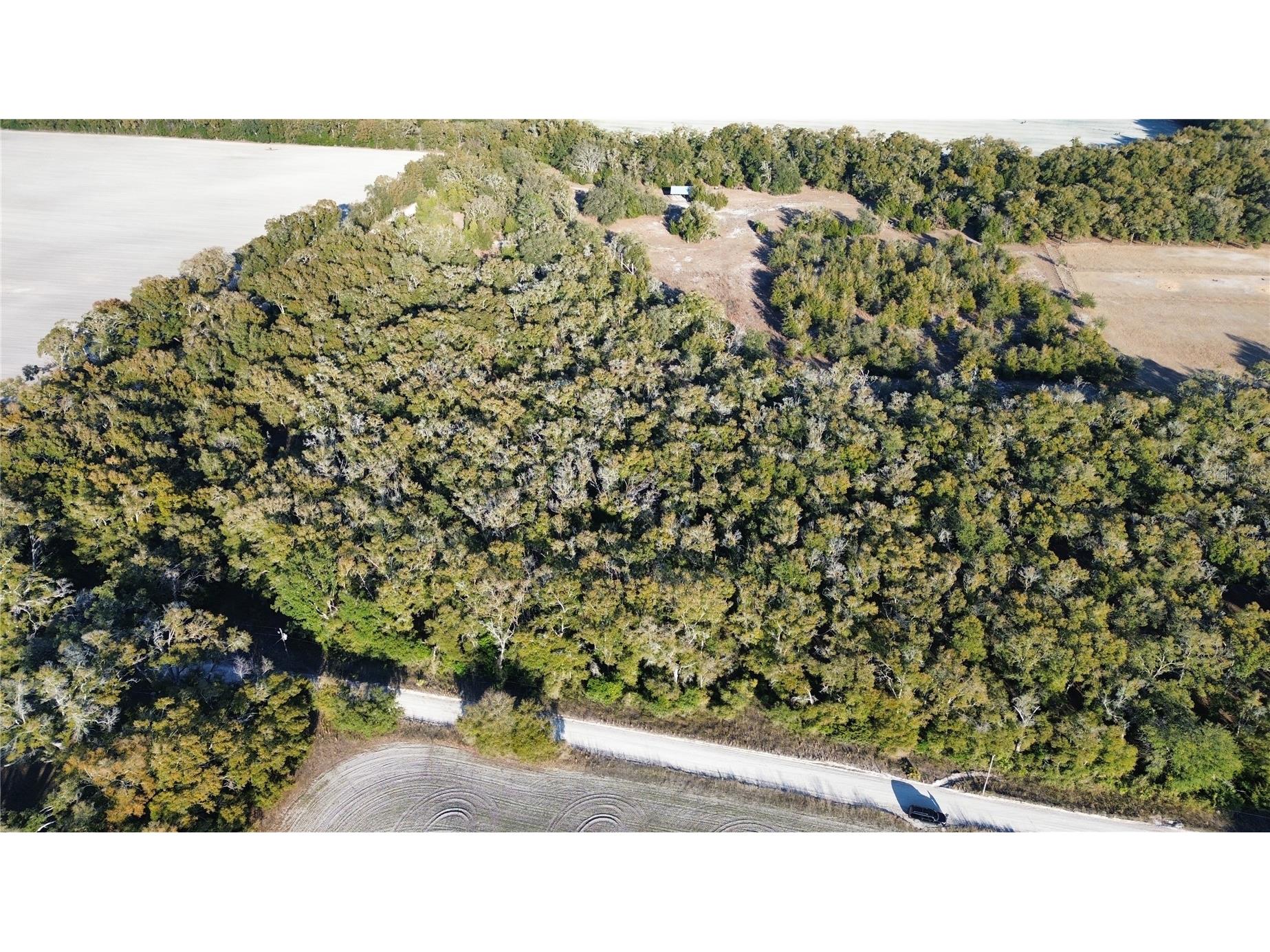 3829 Rodeo Road Bell FL 32619 GC537588 image9