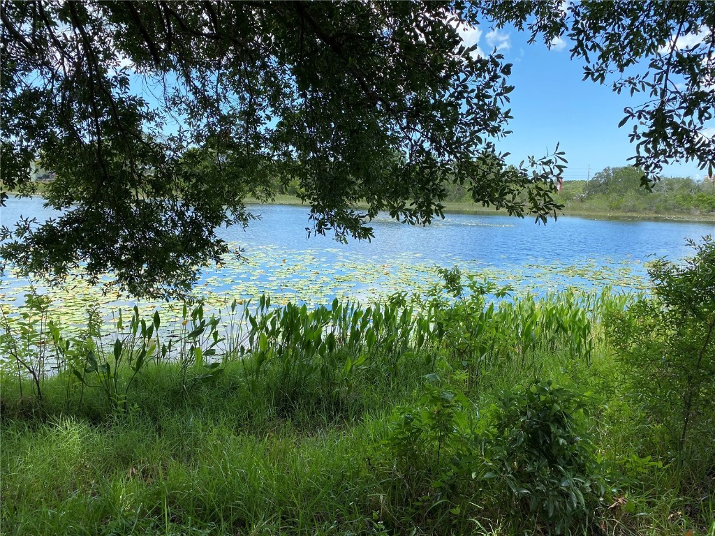 383 Dandelion Court Spring Hill FL 34606 U8161955 image1