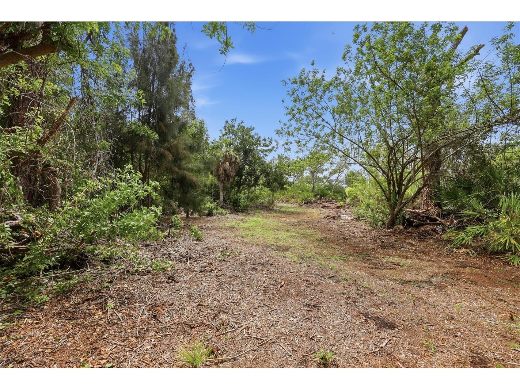 383 E Wentworth Circle Englewood FL 34223 - GOTTFRIED CREEK D6148082 image42