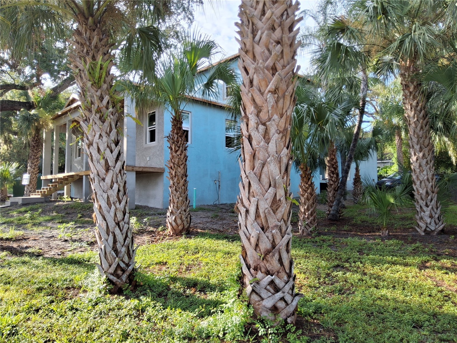 383 Georgia Avenue Crystal Beach FL 34681 - AVERYY BAYOU TB8526164 image3