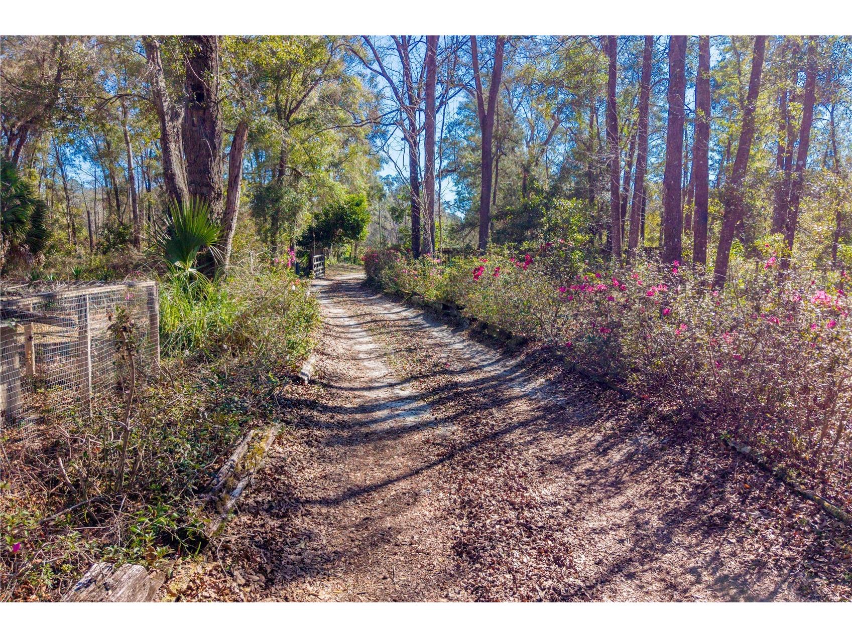 383 NE 355th Avenue Old Town FL 32680 GC537897 image20