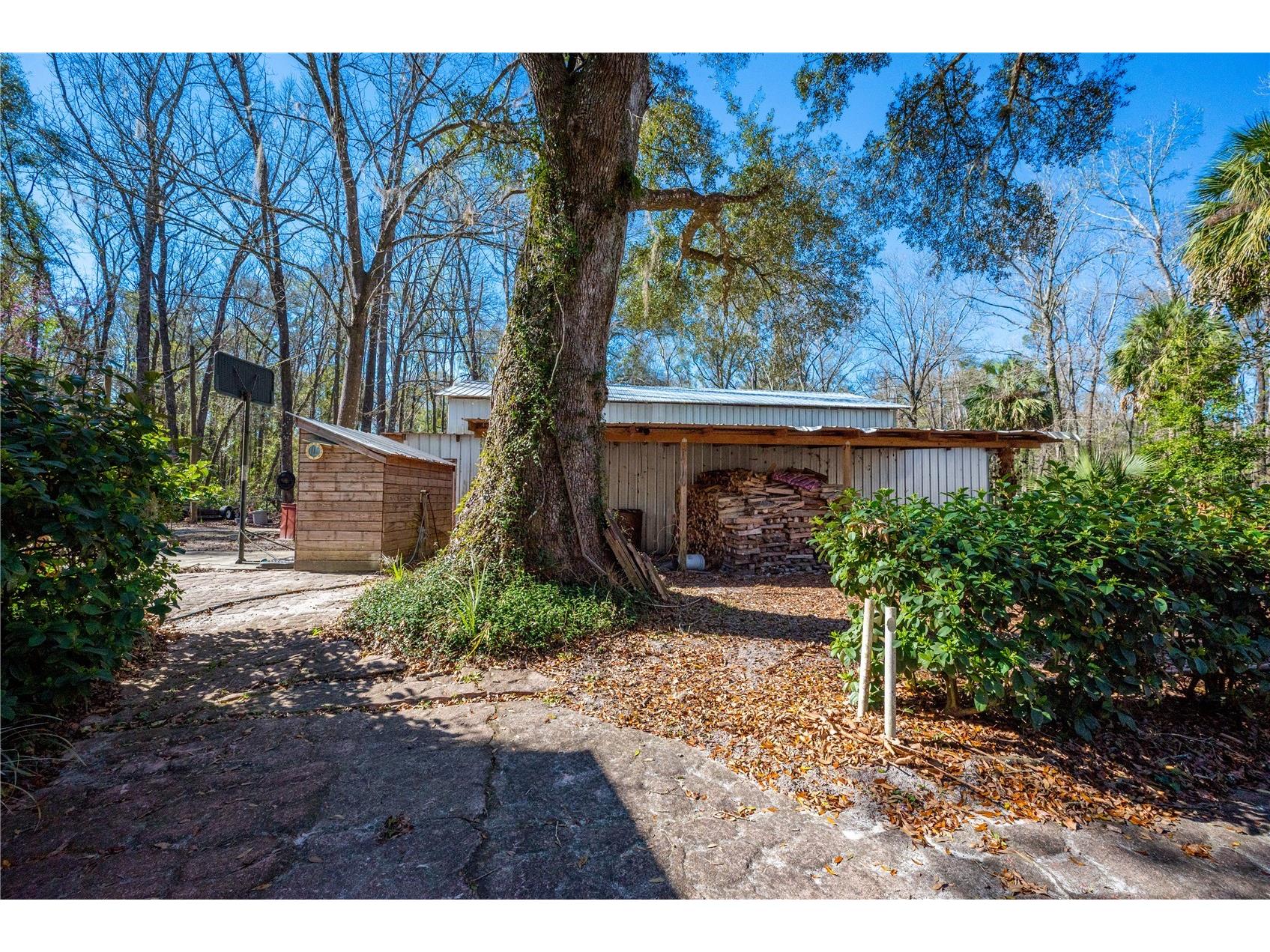 383 NE 355th Avenue Old Town FL 32680 GC537897 image5