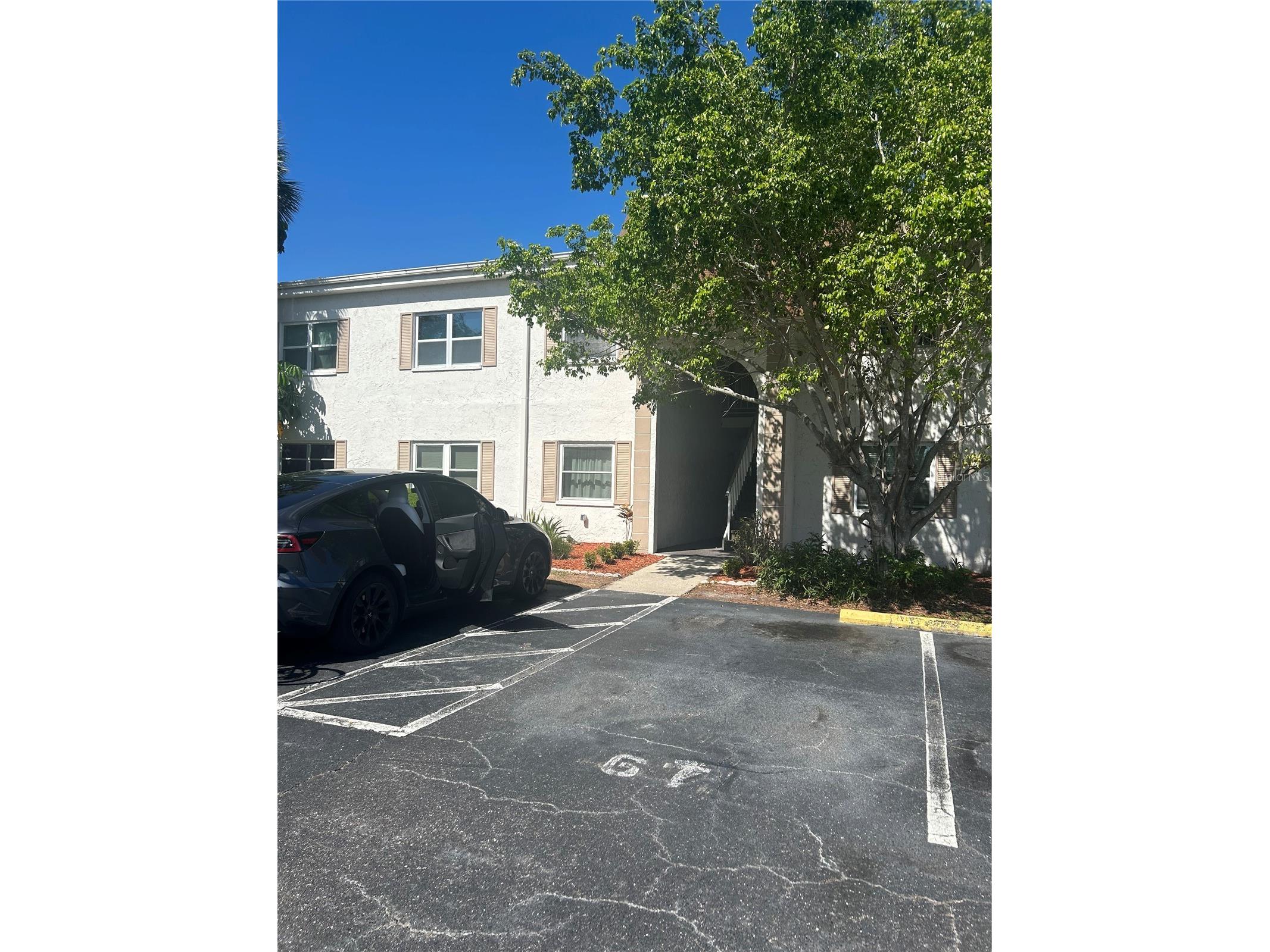 383 S Mcmullen Booth Road #68 Clearwater FL 33759 TB8497102 image1