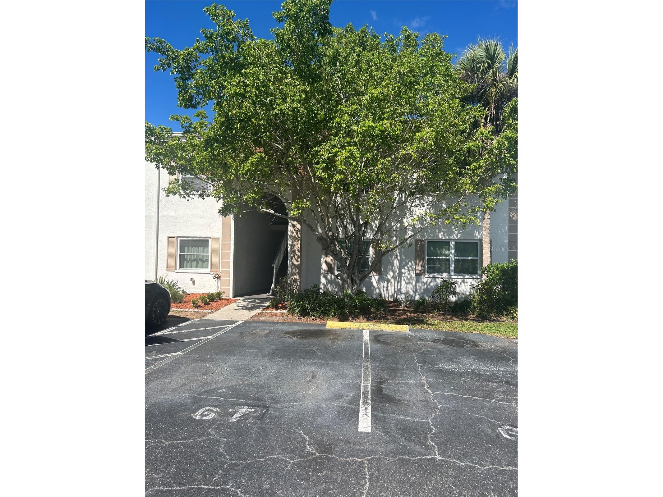 383 S Mcmullen Booth Road #68 Clearwater FL 33759 TB8497102 image2