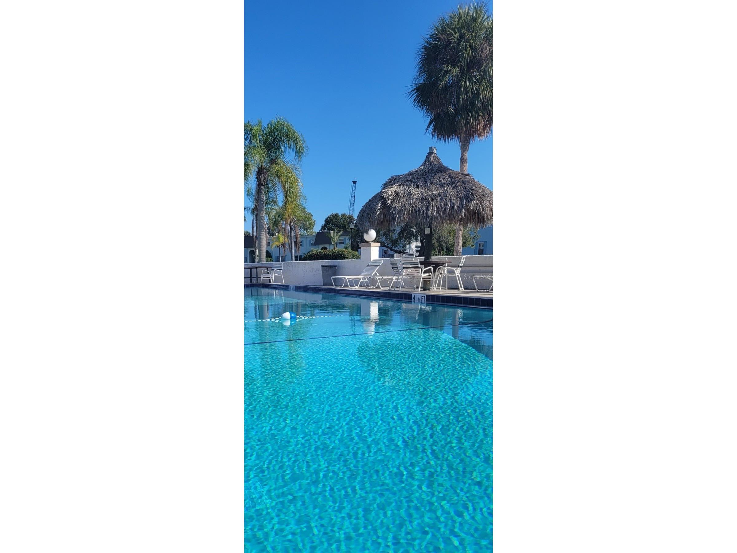 383 S Mcmullen Booth Road #68 Clearwater FL 33759 TB8497102 image35