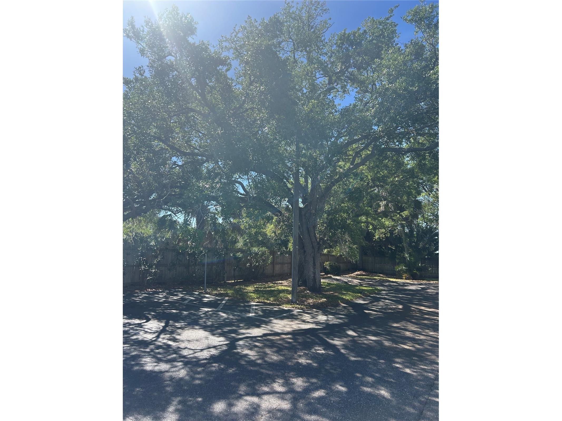 383 S Mcmullen Booth Road #68 Clearwater FL 33759 TB8497102 image5