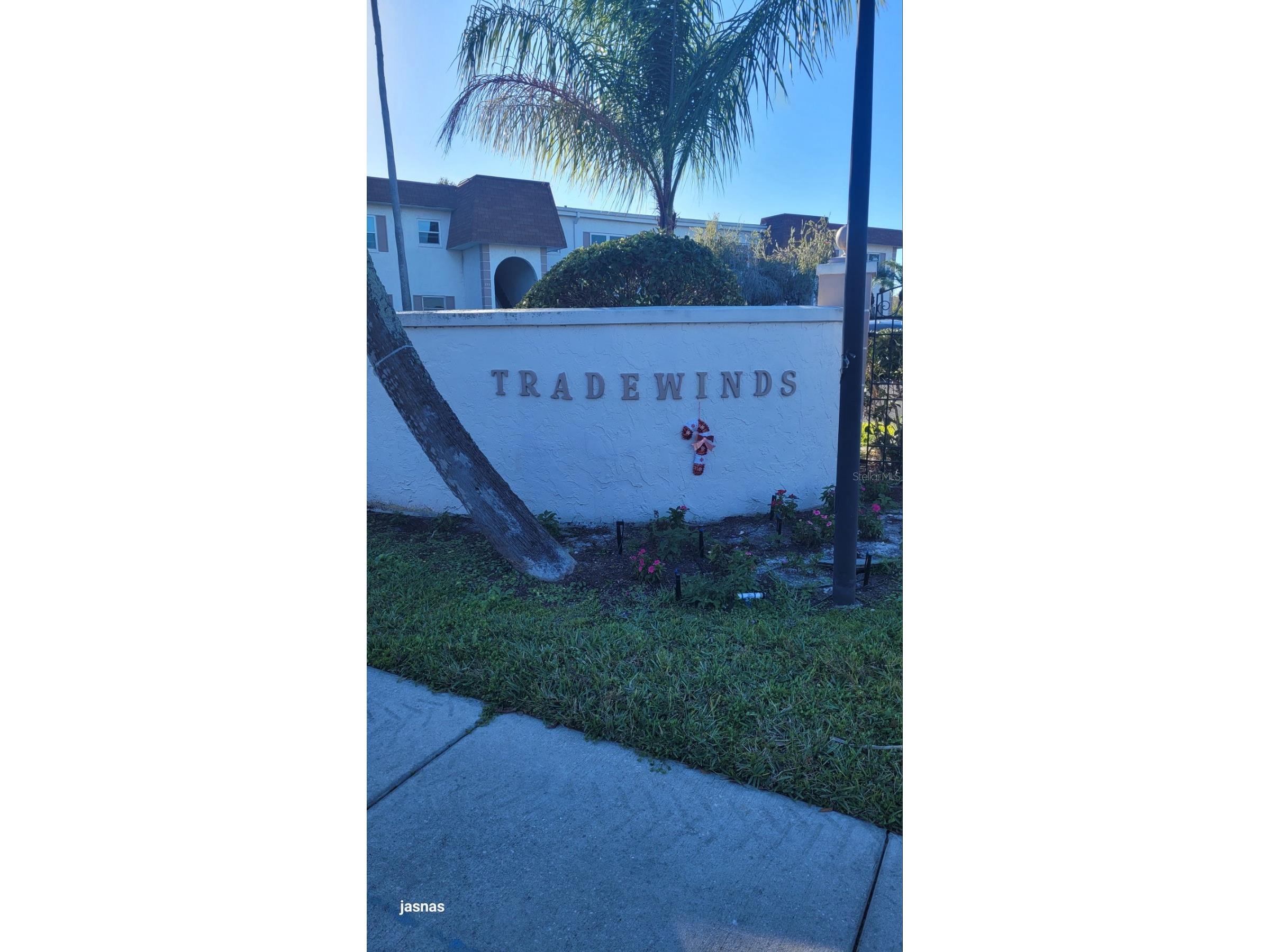383 S Mcmullen Booth Road #68 Clearwater FL 33759 TB8497102 image6