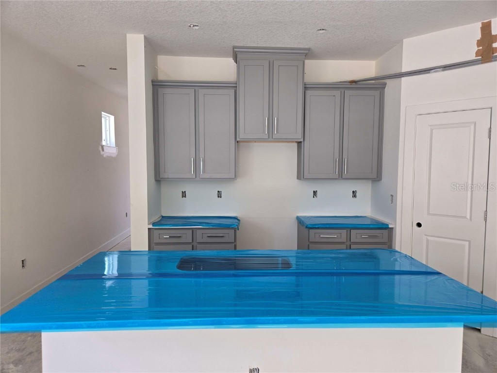 3830 Daybreak Run Loop Spring Hill FL 34609 R4909954 image2