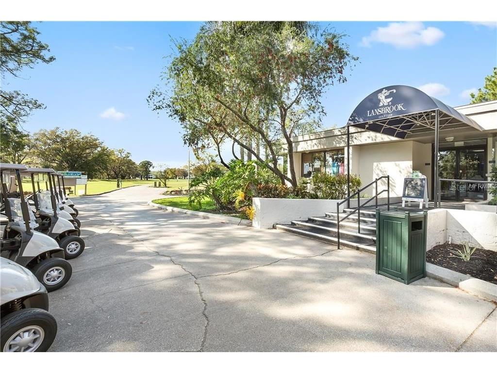 3830 Moreno Drive Palm Harbor FL 34685 TB8461072 image100