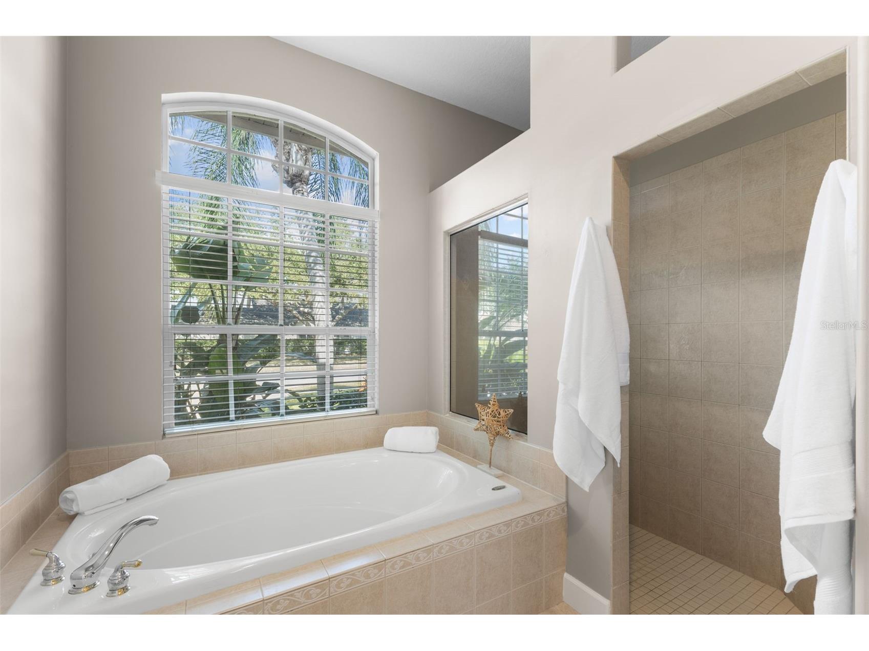 3830 Moreno Drive Palm Harbor FL 34685 TB8461072 image31