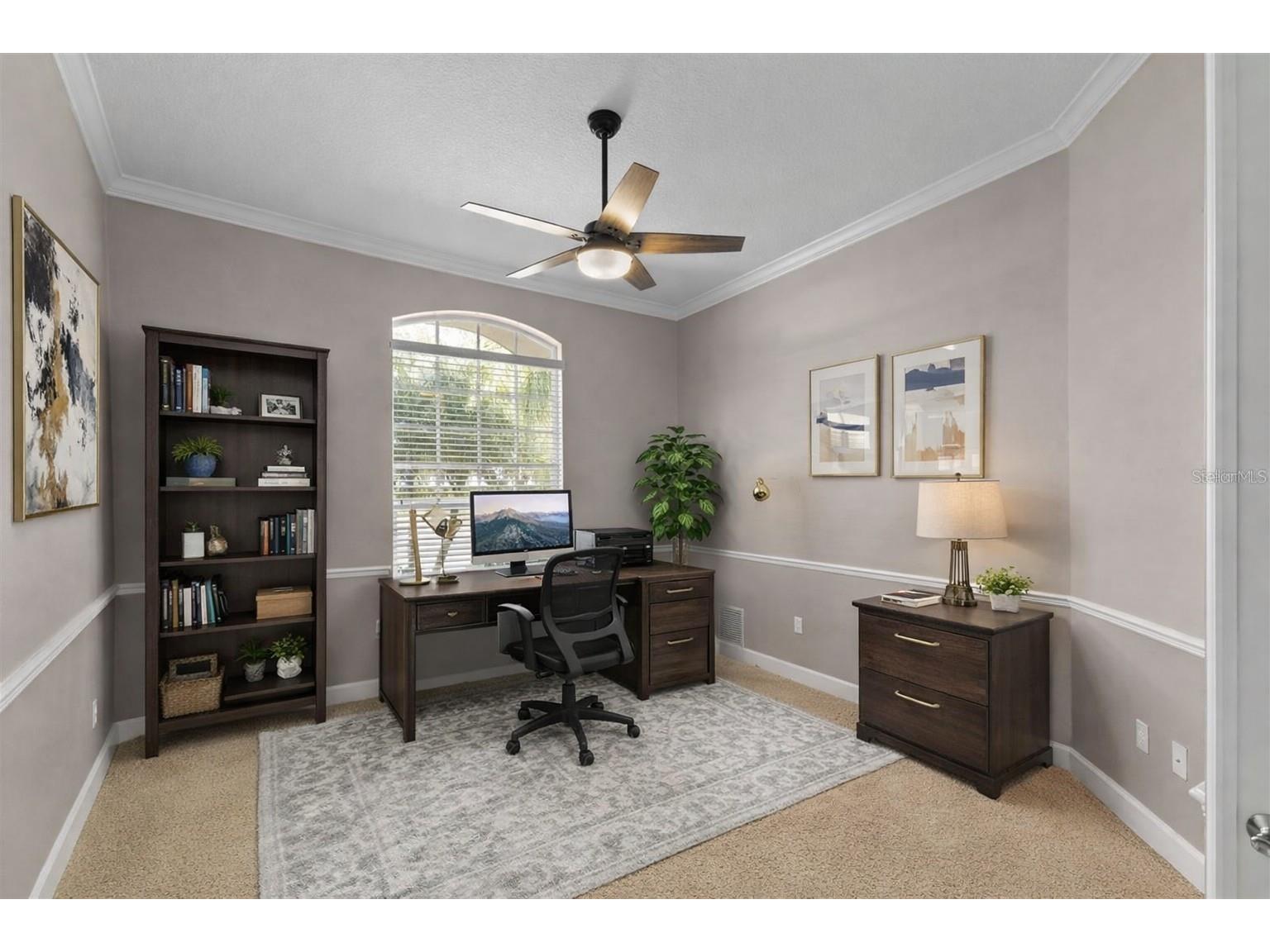 3830 Moreno Drive Palm Harbor FL 34685 TB8461072 image32