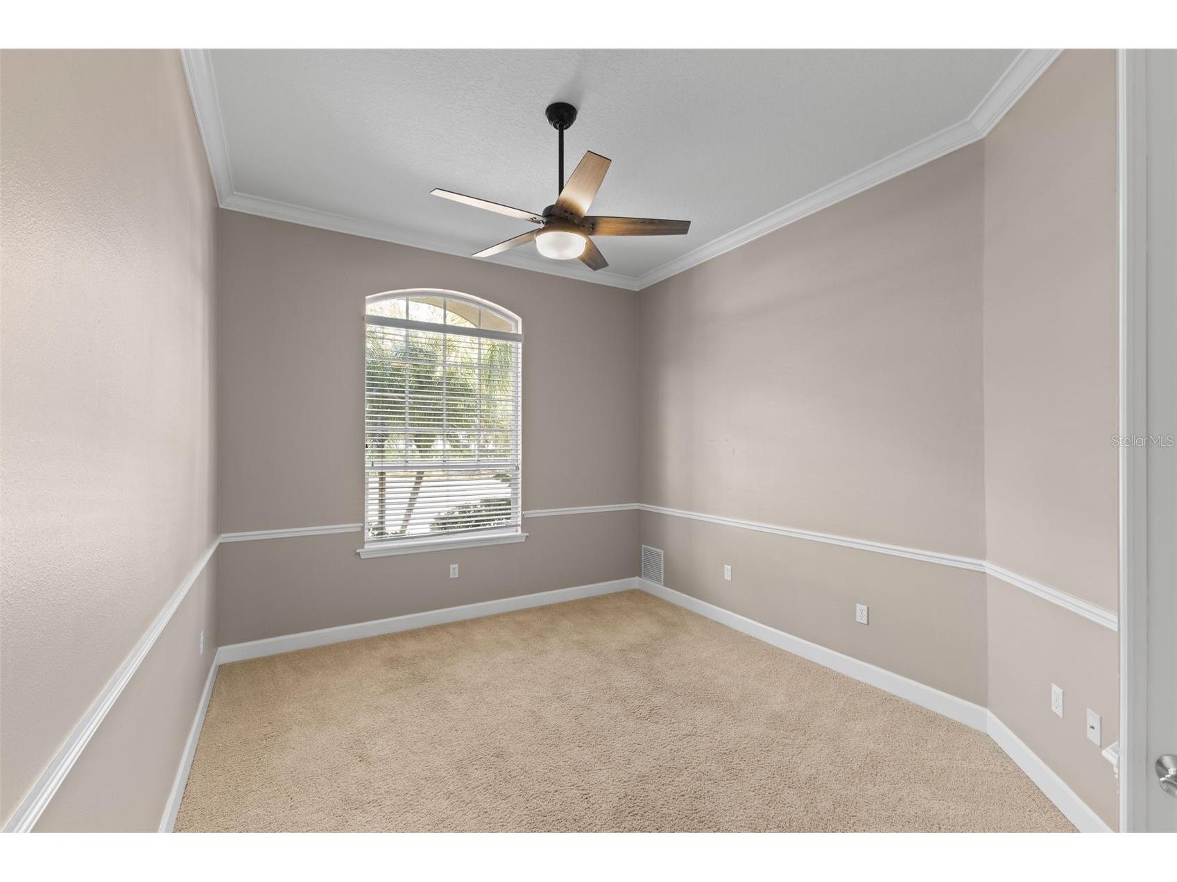 3830 Moreno Drive Palm Harbor FL 34685 TB8461072 image33