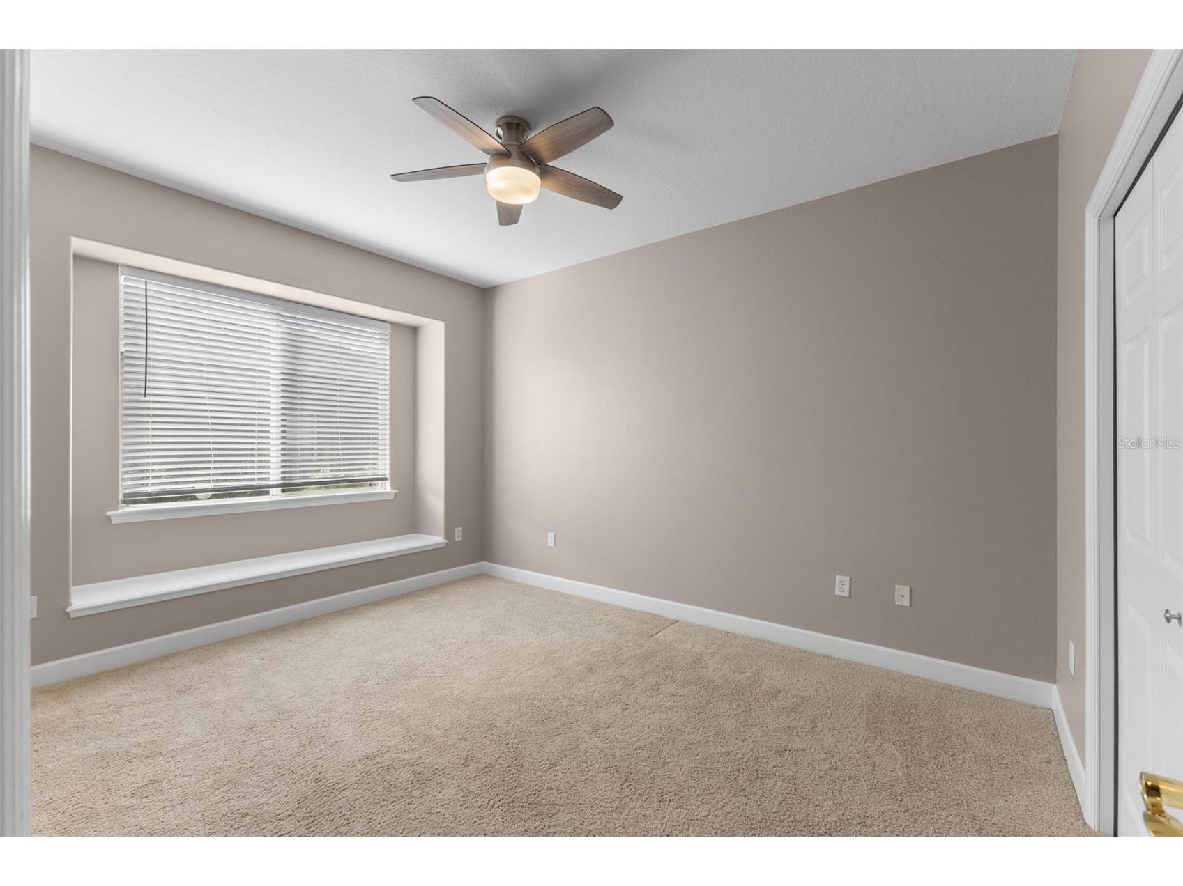 3830 Moreno Drive Palm Harbor FL 34685 TB8461072 image35