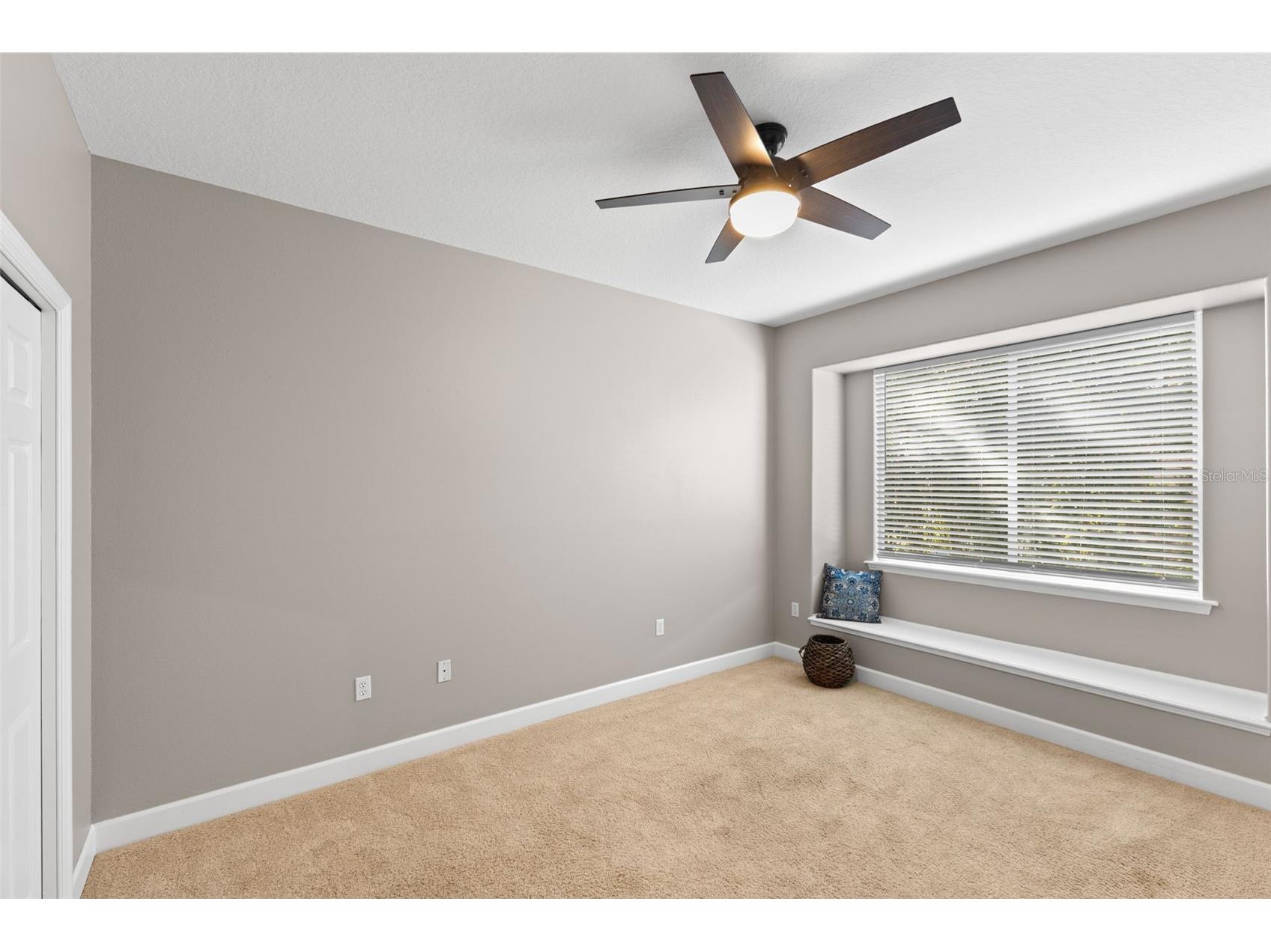 3830 Moreno Drive Palm Harbor FL 34685 TB8461072 image37