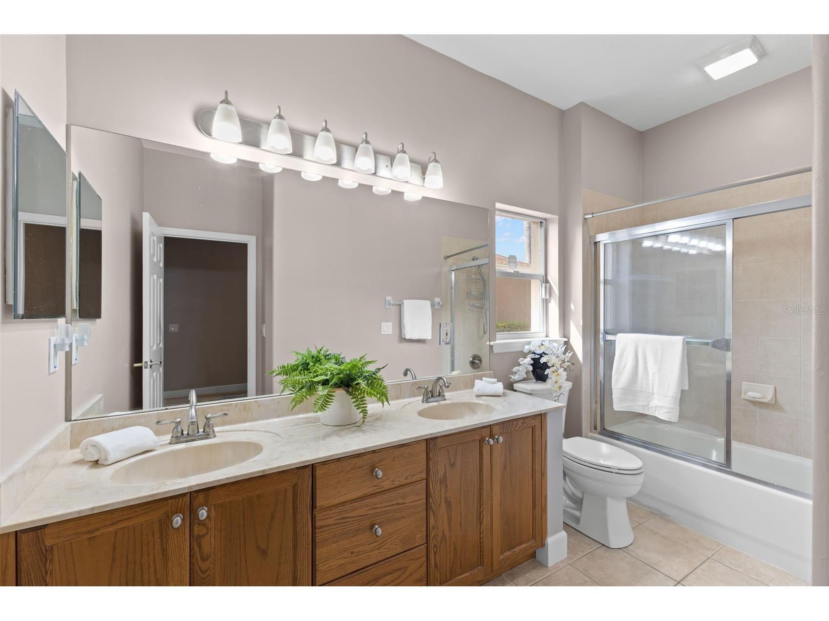 3830 Moreno Drive Palm Harbor FL 34685 TB8461072 image38