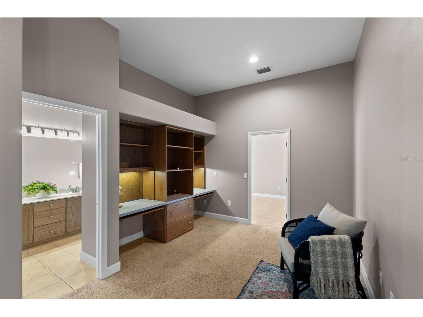 3830 Moreno Drive Palm Harbor FL 34685 TB8461072 image39