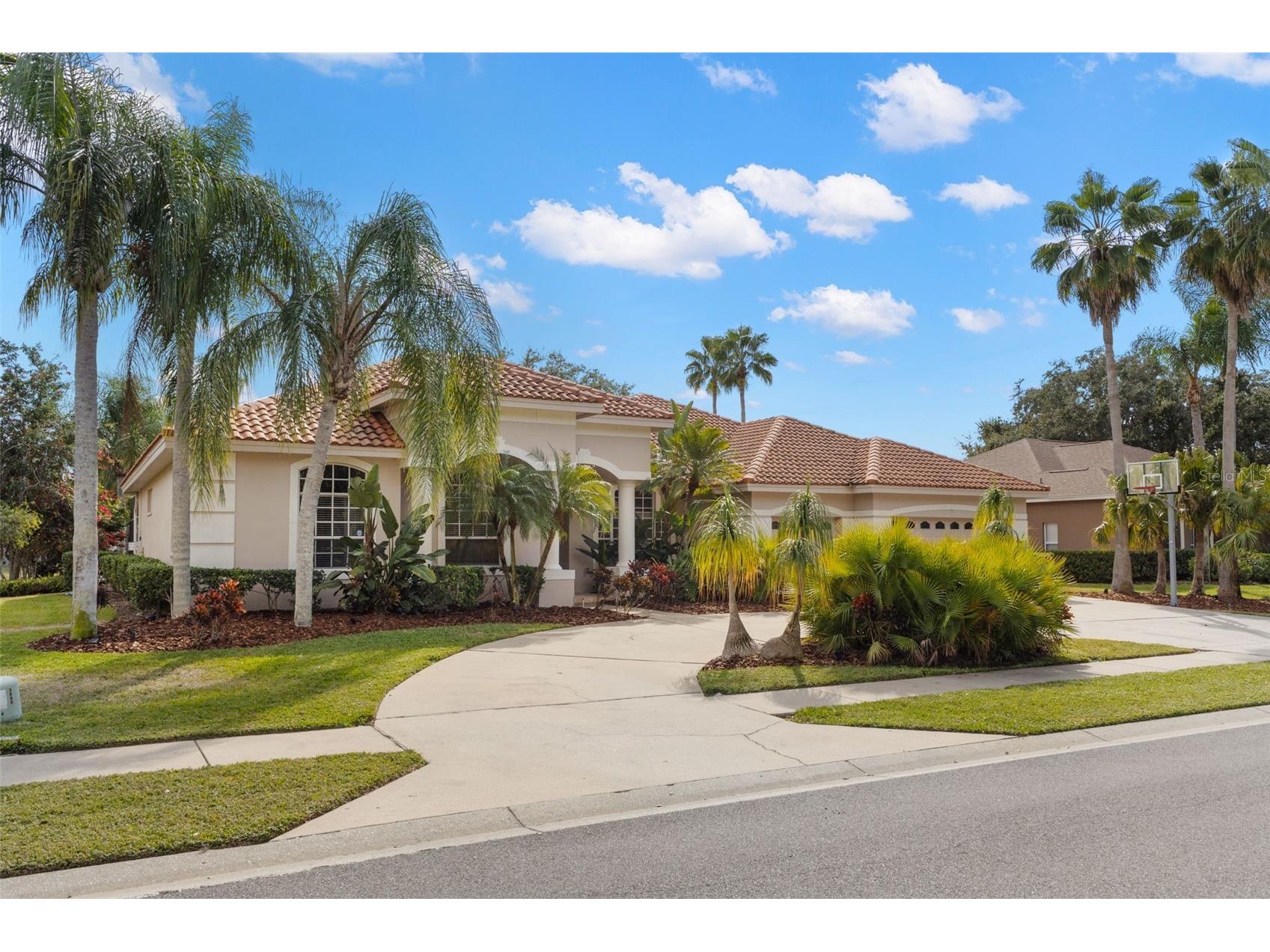 3830 Moreno Drive Palm Harbor FL 34685 TB8461072 image4