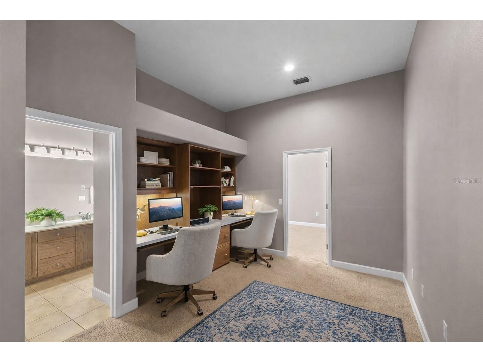 3830 Moreno Drive Palm Harbor FL 34685 TB8461072 image44