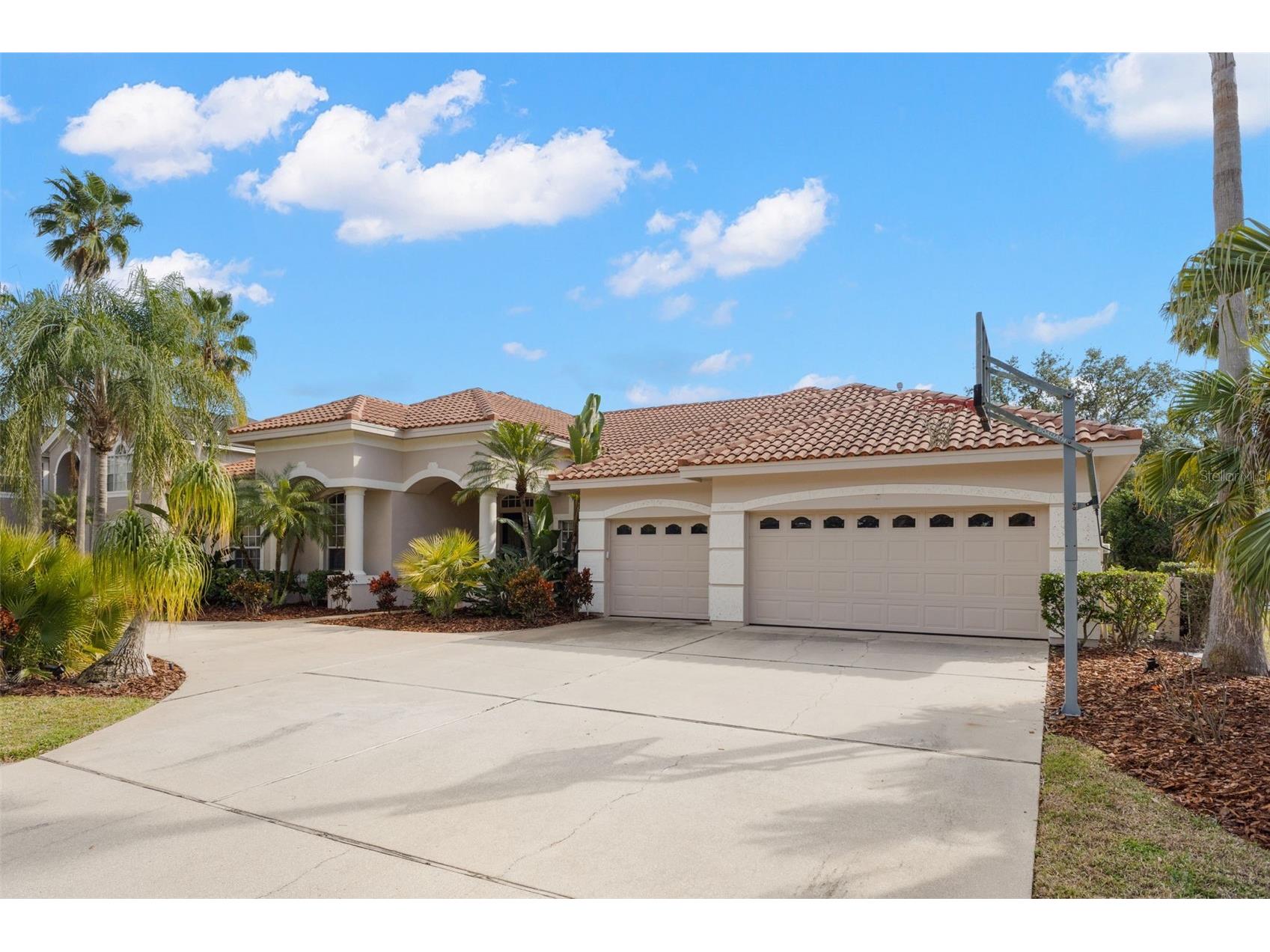 3830 Moreno Drive Palm Harbor FL 34685 TB8461072 image5
