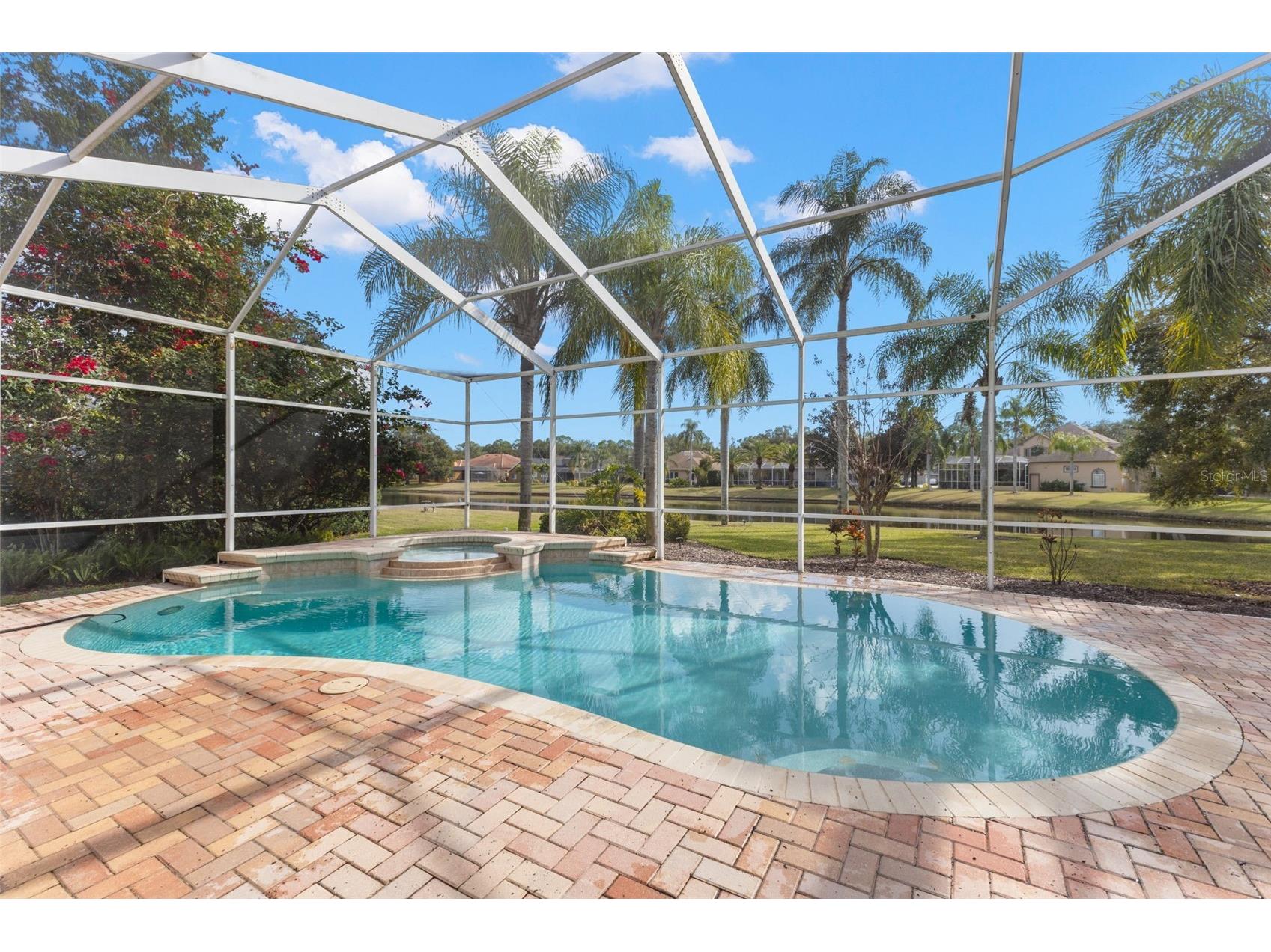 3830 Moreno Drive Palm Harbor FL 34685 TB8461072 image59