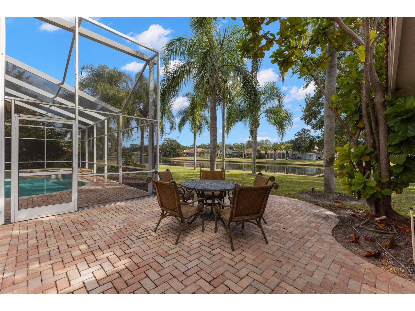 3830 Moreno Drive Palm Harbor FL 34685 TB8461072 image61