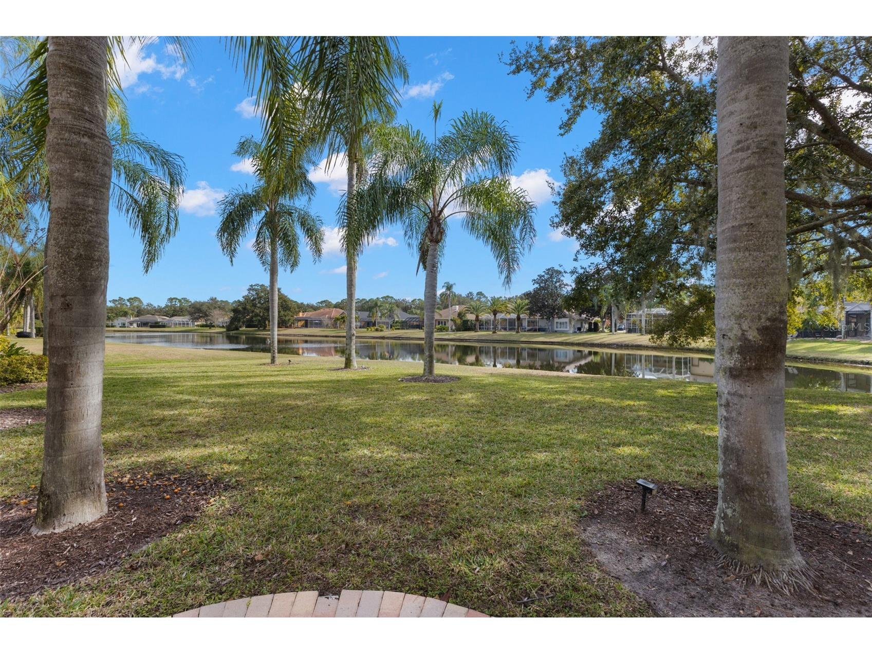 3830 Moreno Drive Palm Harbor FL 34685 TB8461072 image62
