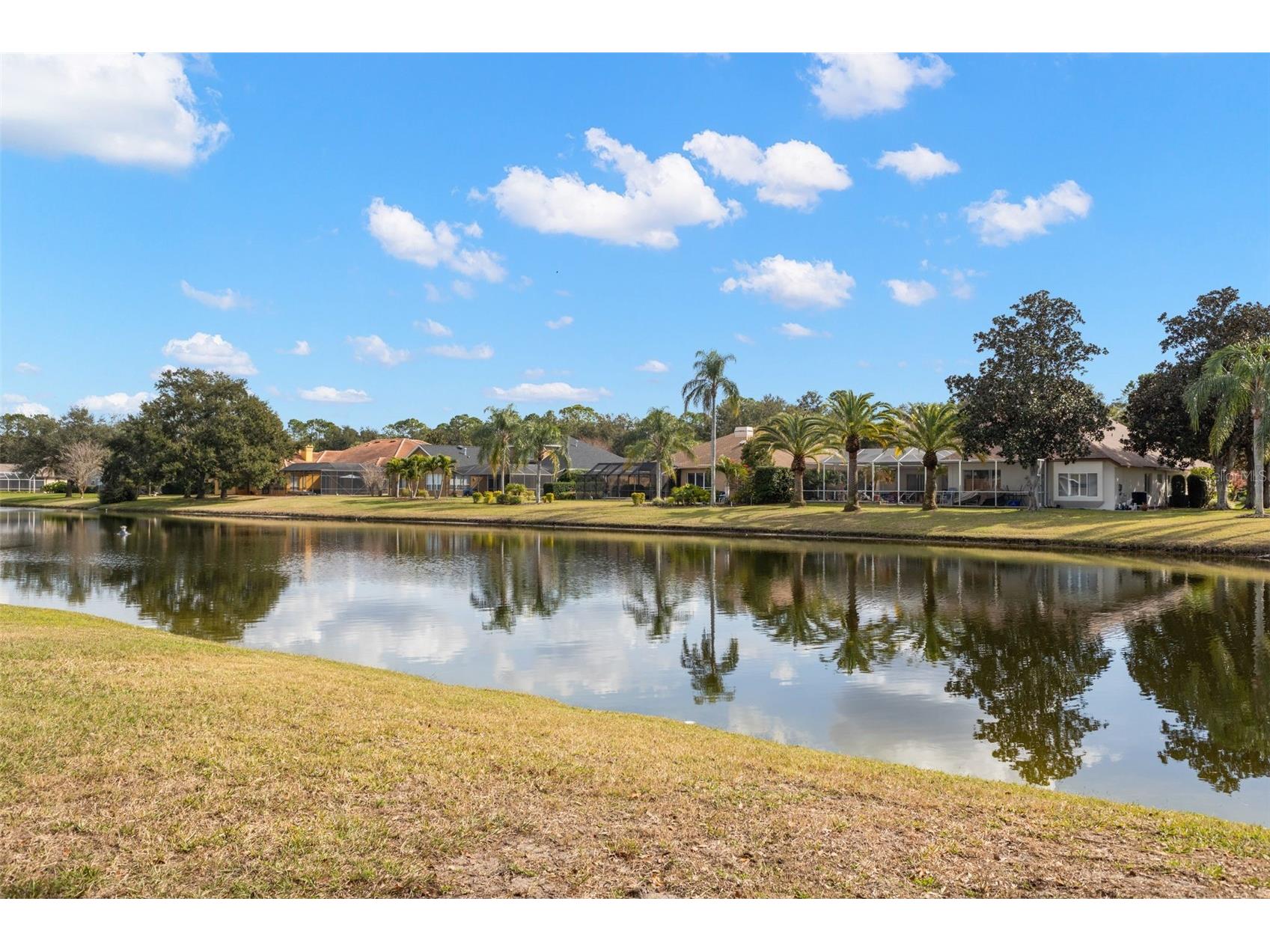 3830 Moreno Drive Palm Harbor FL 34685 TB8461072 image64