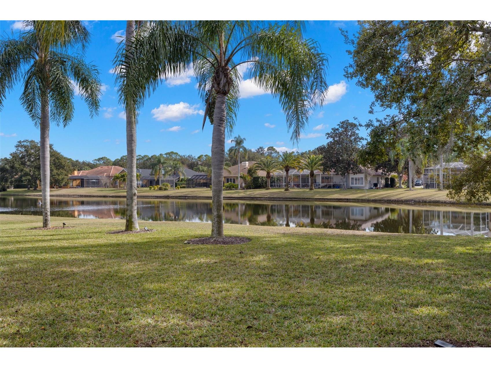 3830 Moreno Drive Palm Harbor FL 34685 TB8461072 image65