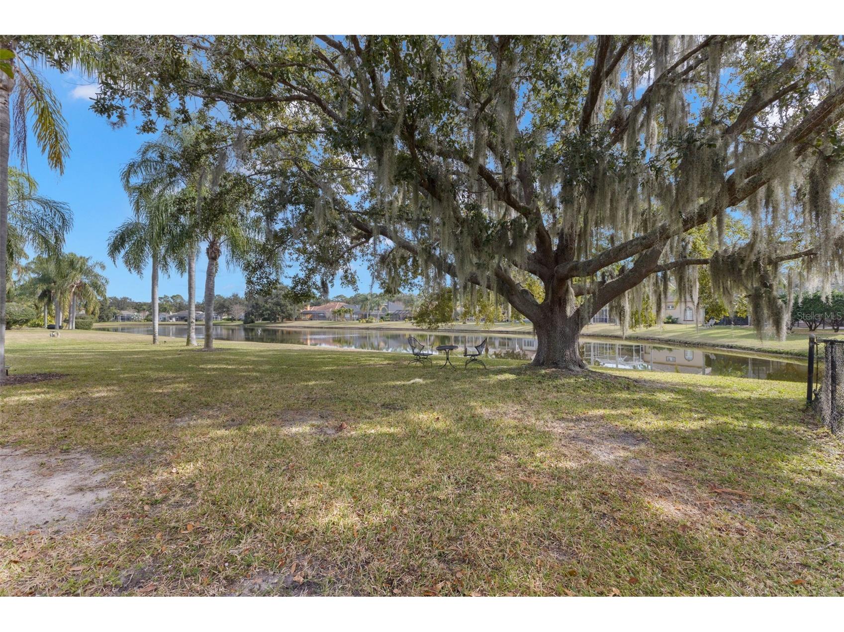 3830 Moreno Drive Palm Harbor FL 34685 TB8461072 image66