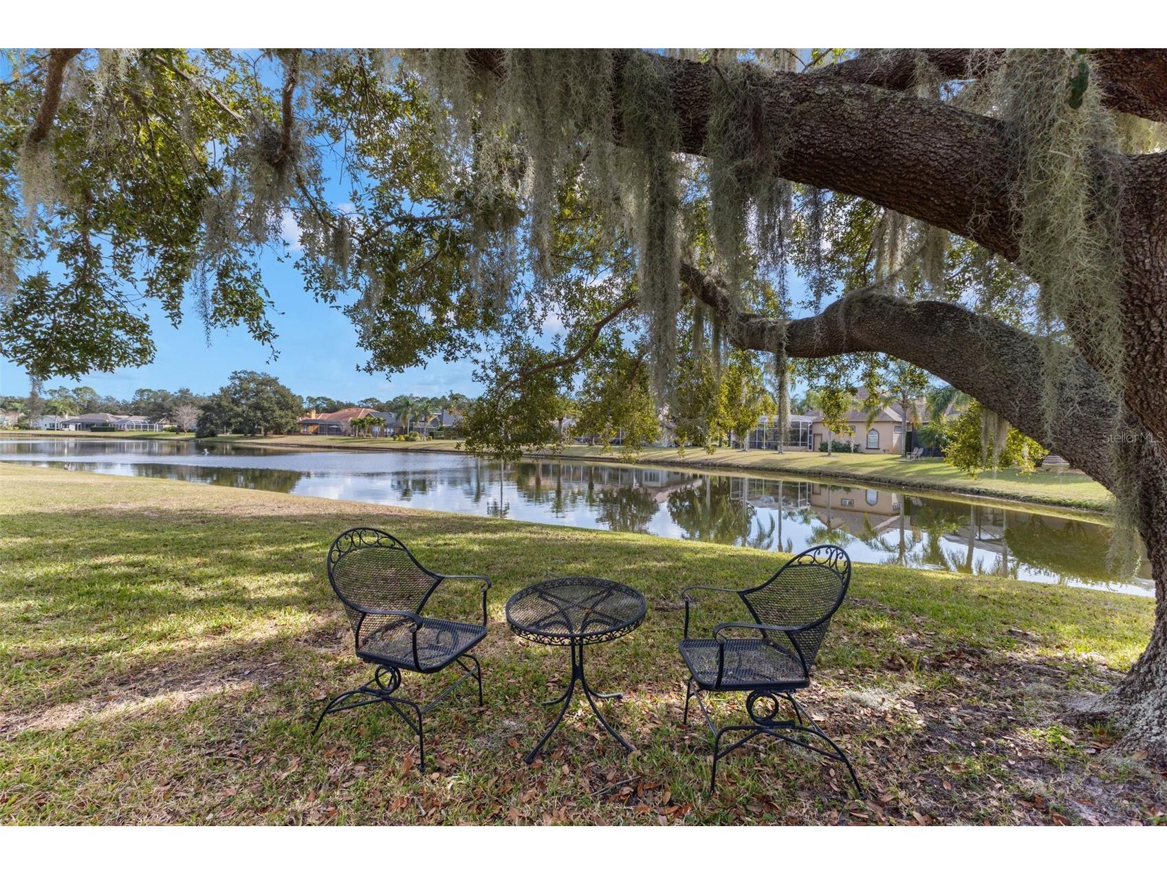 3830 Moreno Drive Palm Harbor FL 34685 TB8461072 image67