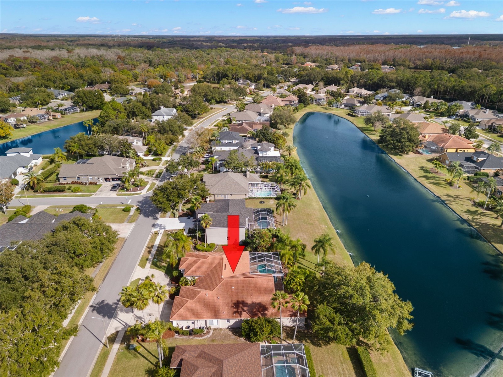 3830 Moreno Drive Palm Harbor FL 34685 TB8461072 image70