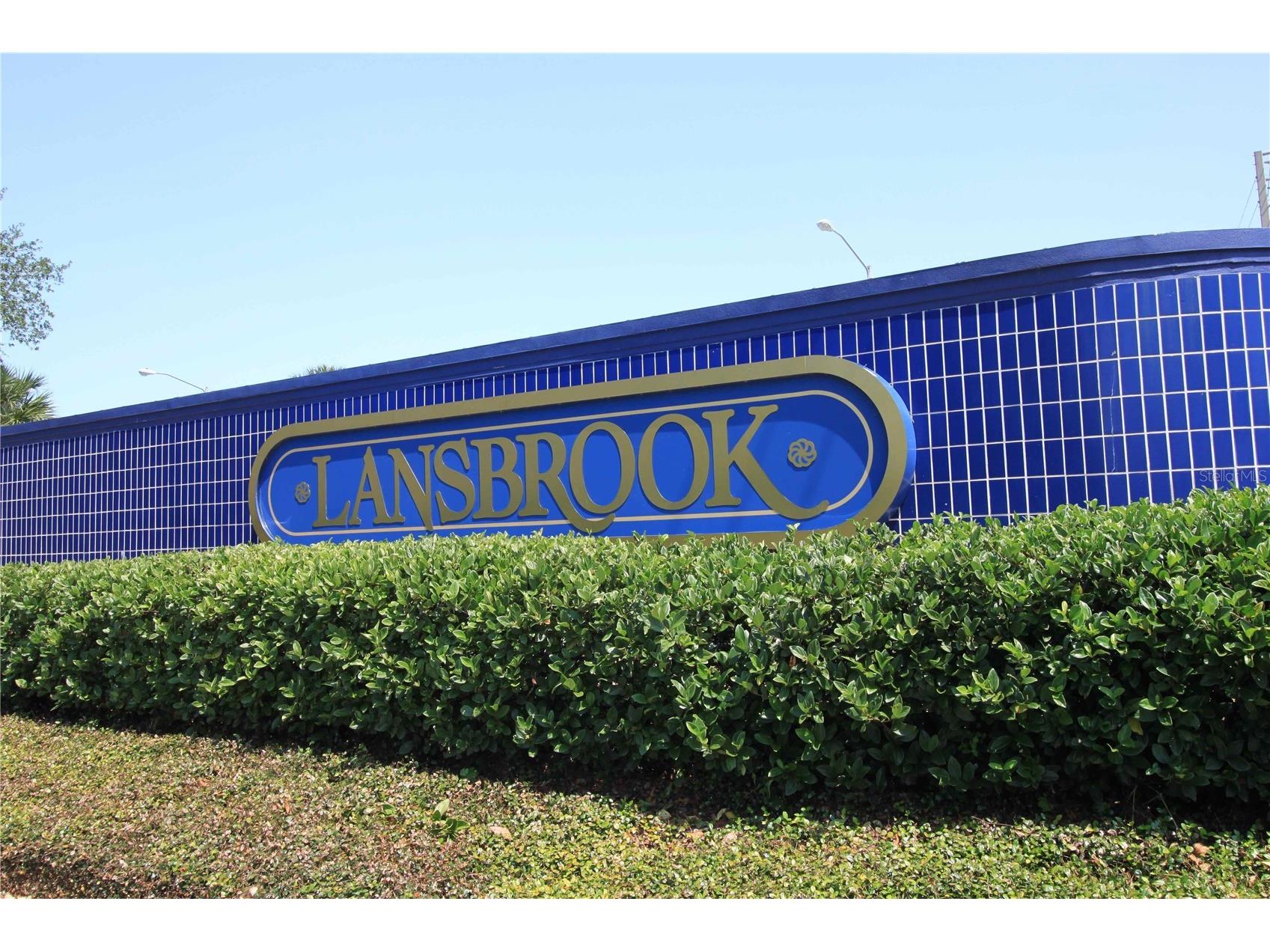 3830 Moreno Drive Palm Harbor FL 34685 TB8461072 image77