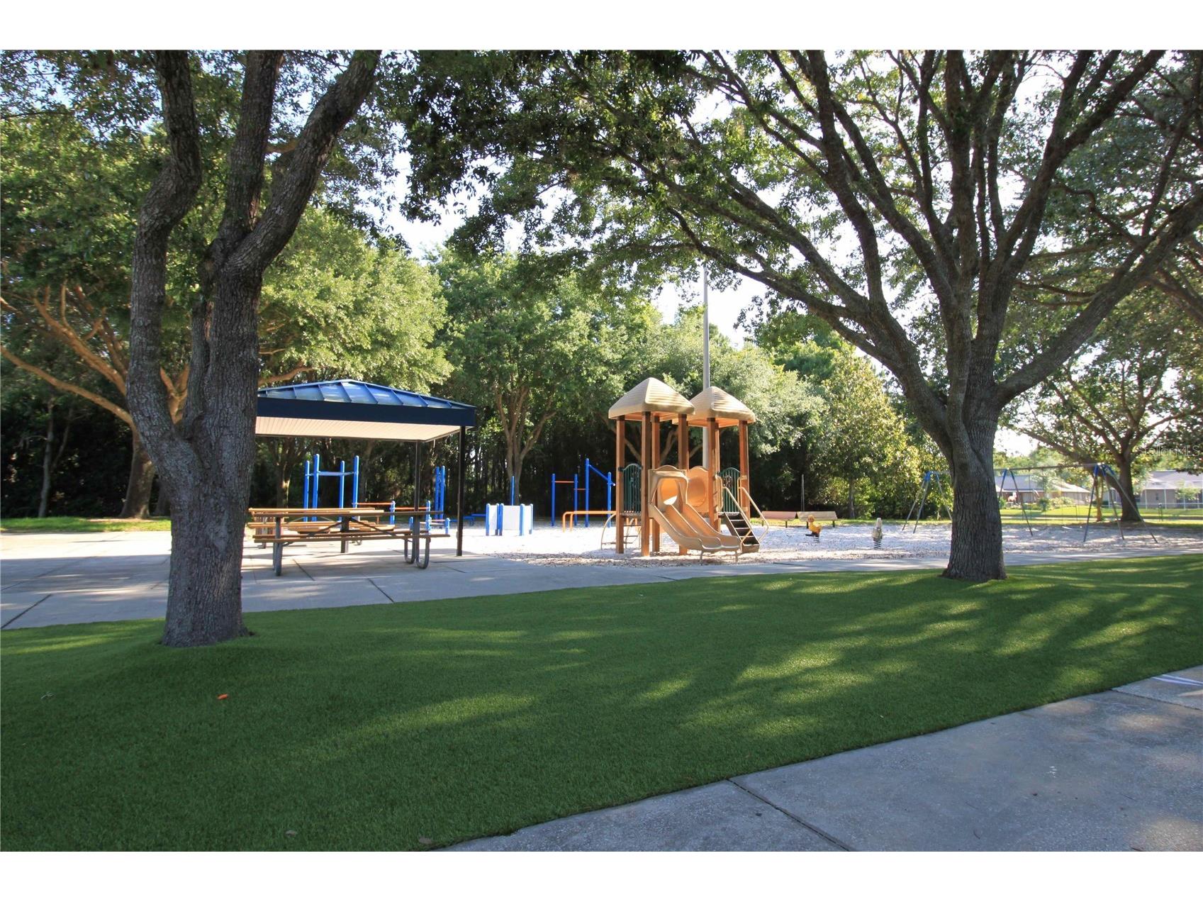 3830 Moreno Drive Palm Harbor FL 34685 TB8461072 image78