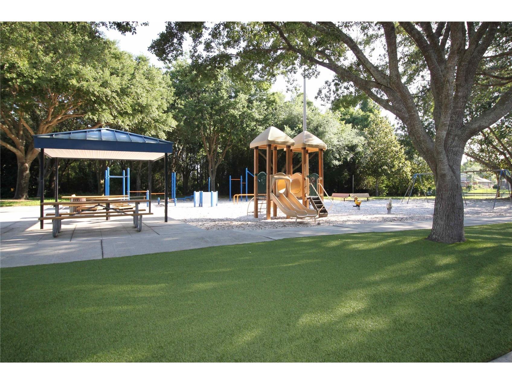 3830 Moreno Drive Palm Harbor FL 34685 TB8461072 image79