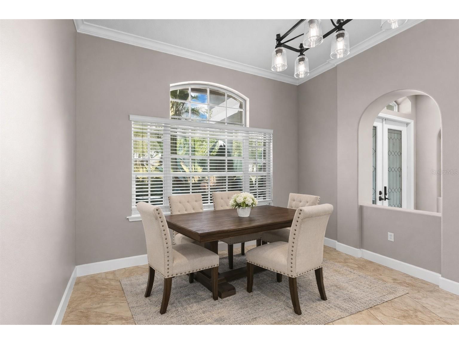 3830 Moreno Drive Palm Harbor FL 34685 TB8461072 image8