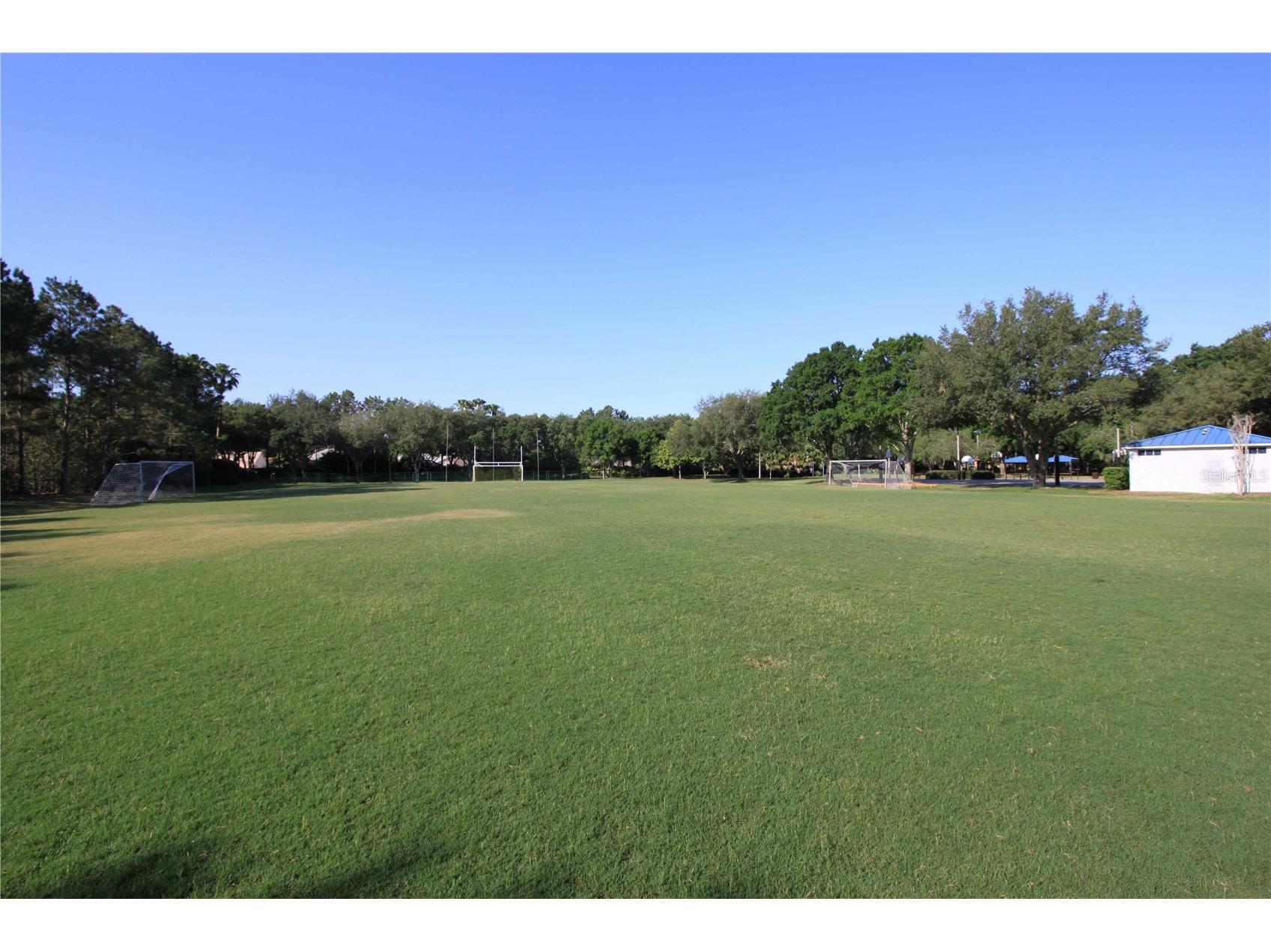 3830 Moreno Drive Palm Harbor FL 34685 TB8461072 image80